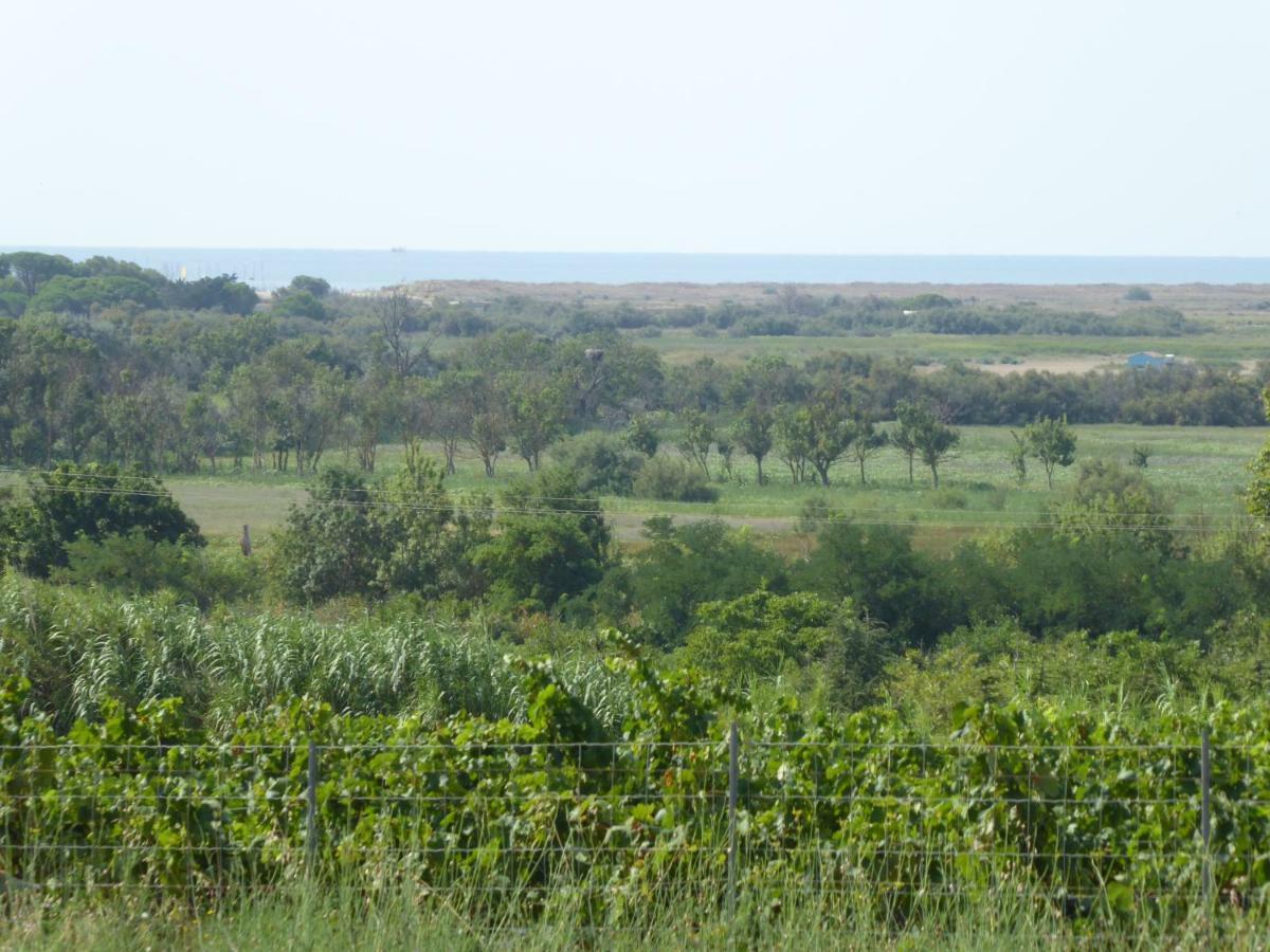 Gite Des Jonquies, Au Calme Vue Sur Le Canal Du Midi Et La Mer Portiragnes Buitenkant foto